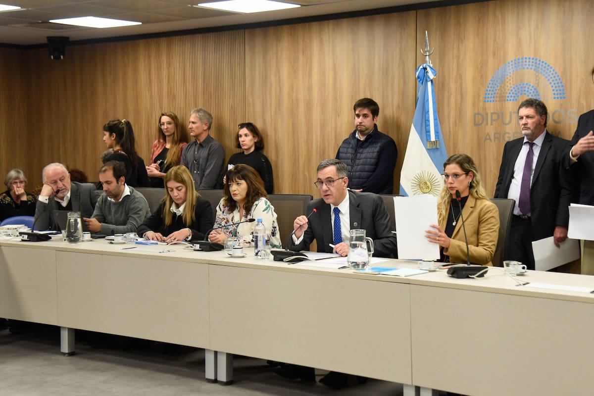 Los diputados que integran la comisión de Educación de la Cámara de Diputados