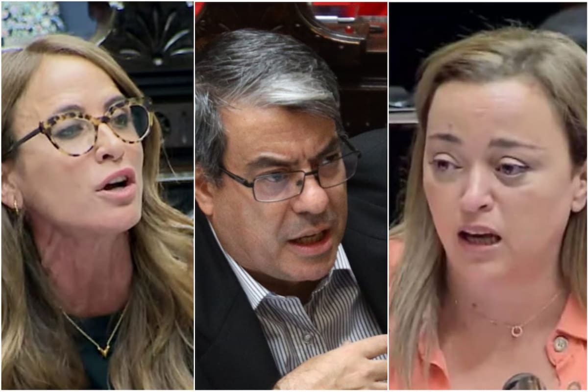 Los diputados Victoria Tolosa Paz, Germán Martínez y Cecilia Moreau fustigaron contra Milei