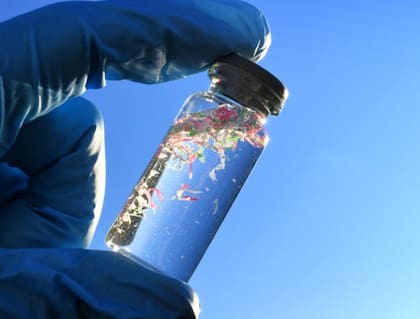 Los disruptores endocrinos están en los plásticos, cosméticos y productos cotidianos
