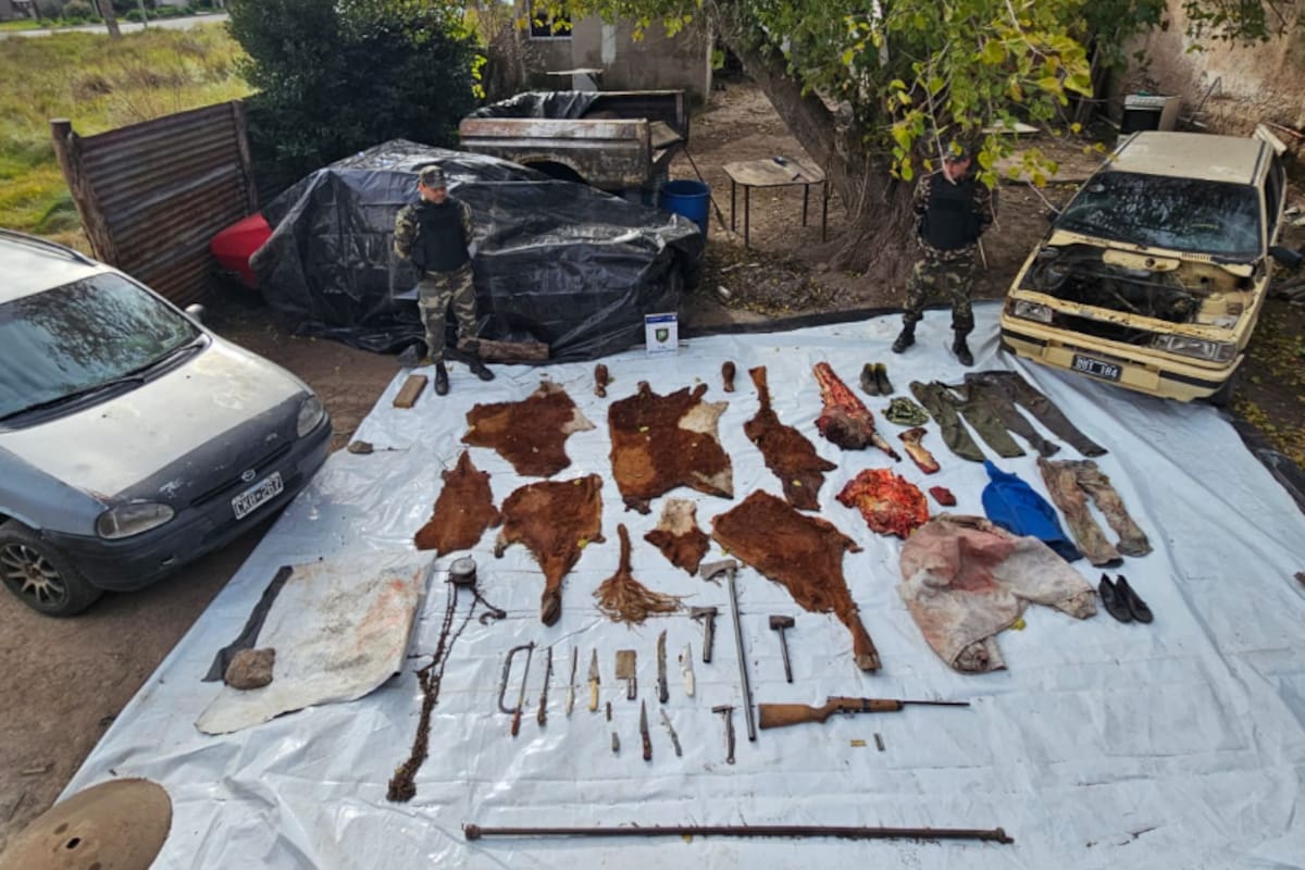 Los distintos elementos secuestrados