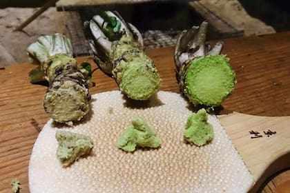 Los distintos tipos de wasabi