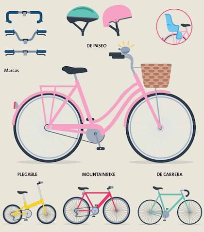 Los distintos tipos de bicicleta están divididos por género y la diferencia más marcada tiene que ver con el cuadro superior que, en las de varón, está mucho más arriba.