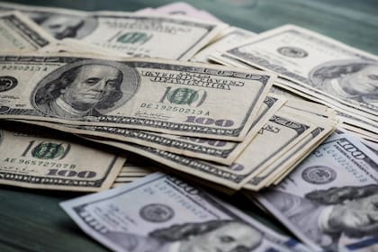 Los distintos tipos de dólar no estuvieron ajenos a la exposición de Cristina Kirchner