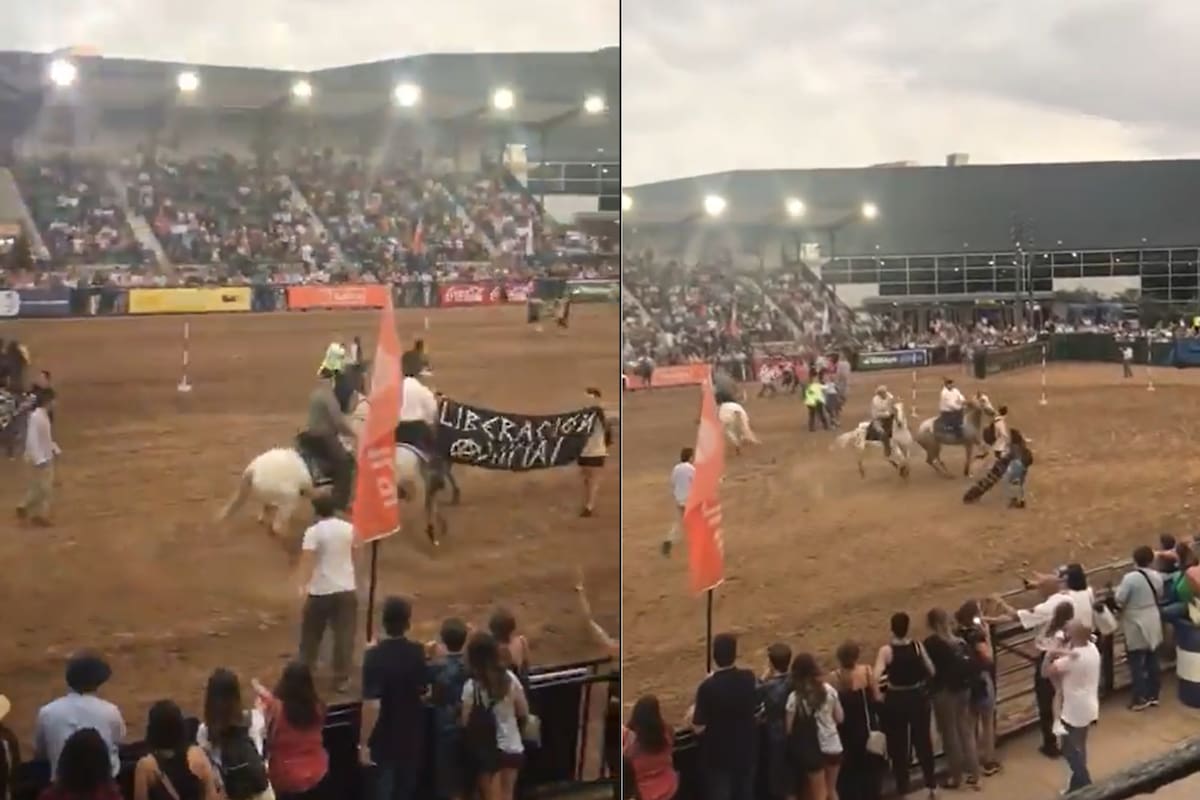 Los disturbios en medio del Festival de Doma en La Rural.