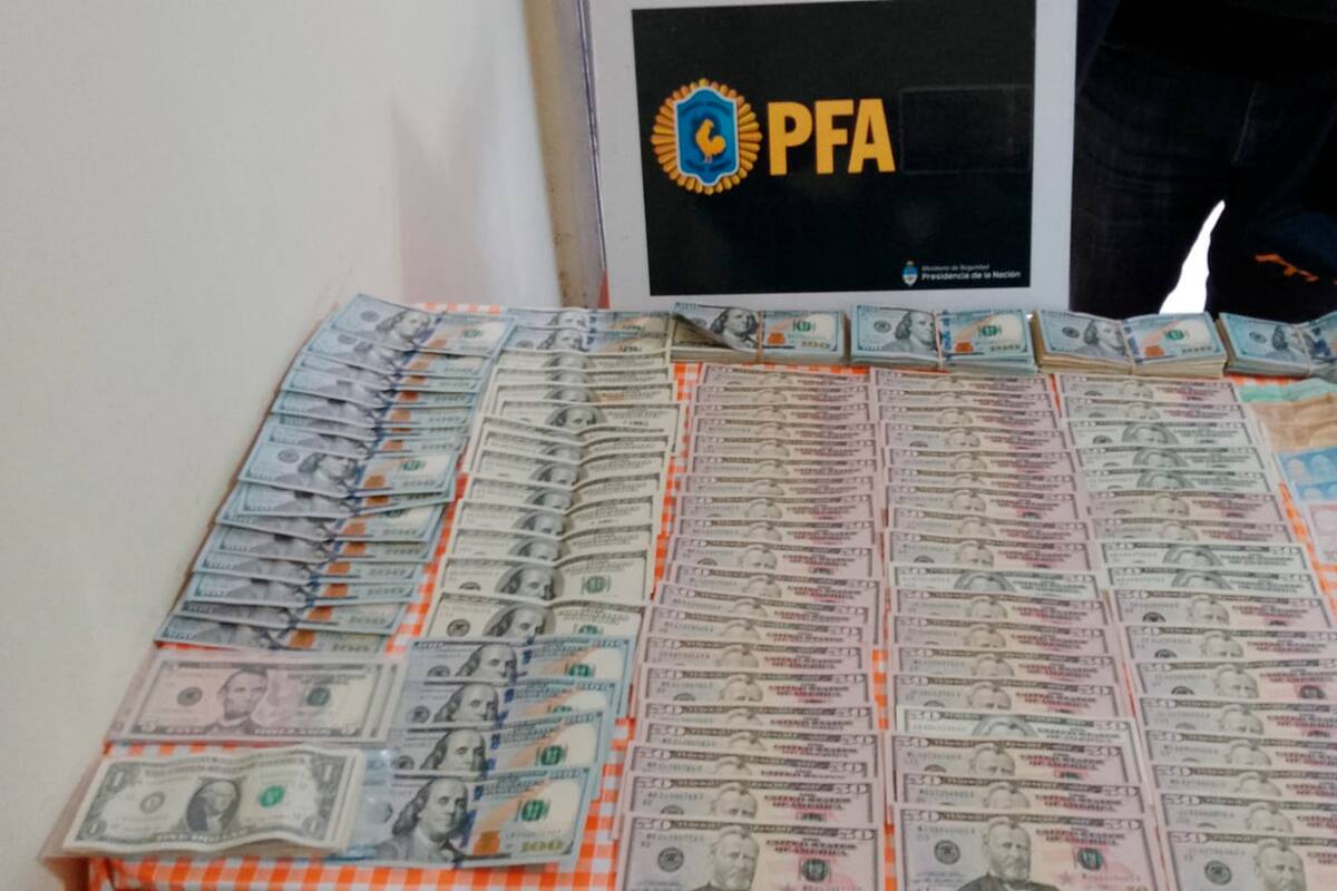 Los dólares incautados en uno de los allanamientos de la Policía Federal a locales de la Corriente Clasista Combativa