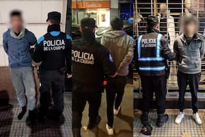 Detuvieron a dos ladrones luego de un robo: uno acumula 20 antecedentes y dos condenas