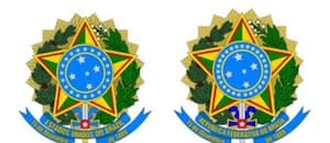 Un escudo equivocado y “líder” en vez de “presidente”: los llamativos cambios que hizo Bolsonaro en su comunicado