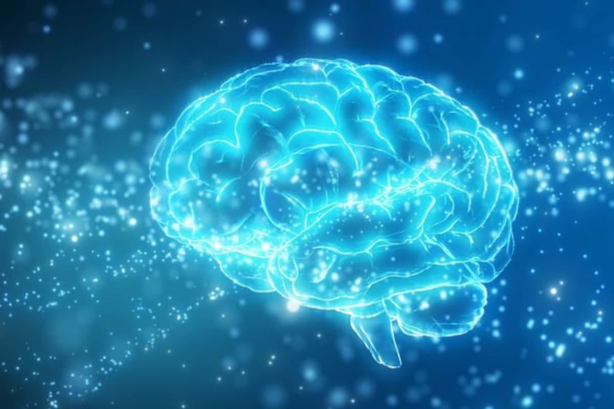 Los dos sentidos más importantes para el cerebro son la interocepción y la propiocepción.