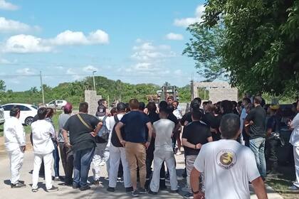 Los dueños aseguran que hay un error involuntario en el proceso de la detección de influenza aviar