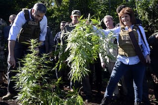 Pedro Juan Caballero, donde las bandas se pelean por el cultivo de marihuana