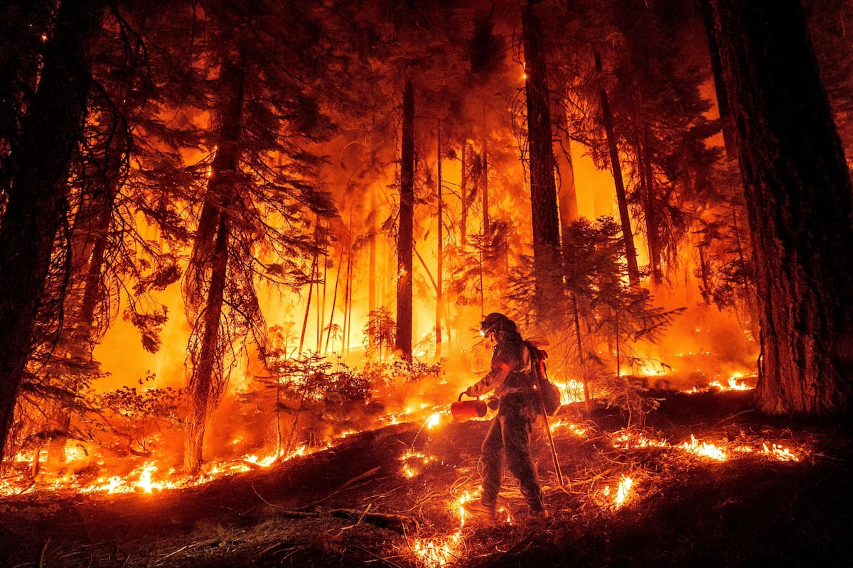 Los efectos de condiciones más cálidas y secas del cambio climático llevaron a aumentar los incendios forestales a nivel global