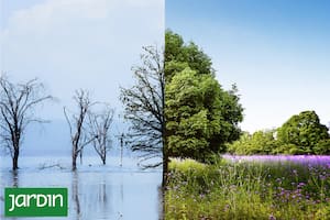 Los efectos de la crisis climática ya los vivimos a lo largo del año, pero podemos evitar que se incrementen