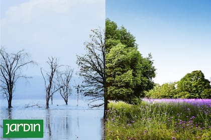 Los efectos de la crisis climática ya los vivimos a lo largo del año, pero podemos evitar que se incrementen