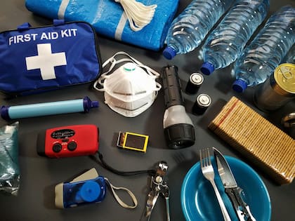 Los elementos básicos de un botiquín para mascotas incluyen guantes, pinzas y tijeras