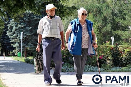 Los elementos que PAMI entrega gratis a los jubialdos en abril (imagen ilustrativa generada con IA)