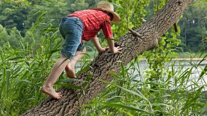 Los empleados formales y monostributistas cobran asignación por hijo si el ingreso del hogar no supera un determinado monto, que se va actualizando