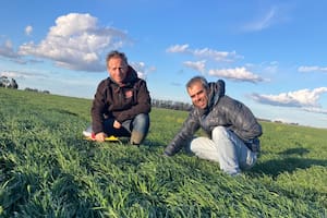 Los emprendedores Álvaro Vázquez Rovere y Federico Alonso