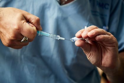Los ensayos en humanos de la vacuna que desarrolla la UNLP podrían comenzar el año próximo