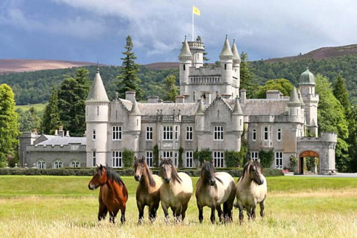 Los equinos de la reina de Inglaterra residían en una finca que la monarca tiene en Escocia y fueron afectados por una patología que acabó con ellos en un período de dos años, según reveló ayer la administradora del stud de estos animales