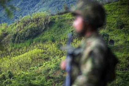 Los escándalos en las Fuerza Armadas han sido una constante en la historia de Colombia. Pero ahora se están destapando más