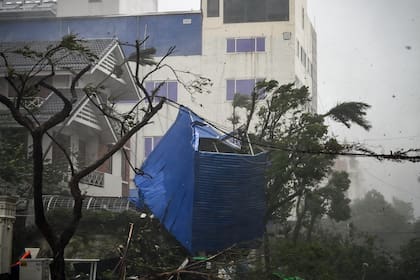 Los escombros de una valla destruida se enredan en los árboles después de que el súper tifón Yagi azotara Hai Phong el 7 de septiembre de 2024