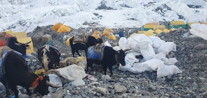 Los esfuerzos para rescatar a cientos de personas que quedaron atrapadas en las laderas del monte Everest
