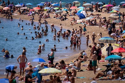 Los especialistas advierten que el aumento del turismo en las costas genera "presión" en el ecosistema y afecta a la flora y la fauna