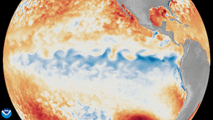 Los especialistas consideran que un evento es "muy fuerte" cuando la temperatura superficial del mar supera los 2°C por encima de los valores normales