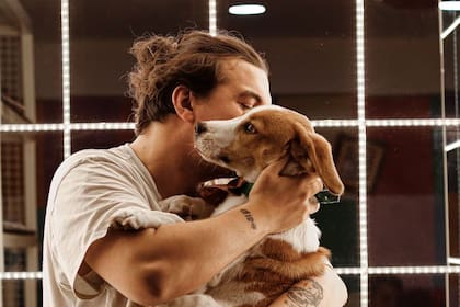 Los especialistas en perros aseguran que si estornuda, es porque te quiere