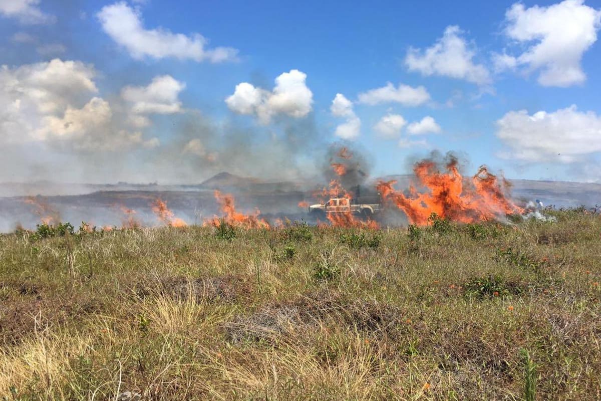 Los especialistas lo calificaron de "daños irreparables"