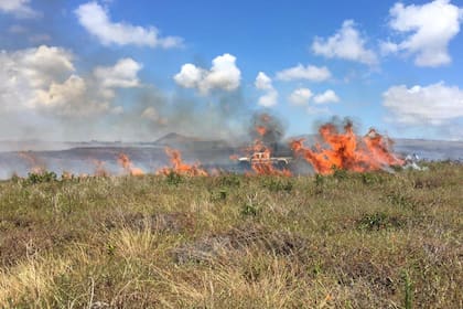 Los especialistas lo calificaron de "daños irreparables"