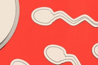 Por qué la infertilidad masculina sigue sin recibir la atención necesaria
