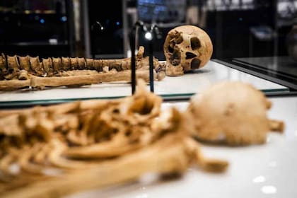Los esqueletos de dos hombres de la época de los vikingos, que “son medios hermanos o sobrino y tío”, se reunirán después de un milenio separados