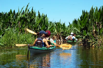 Los Esteros del Iberá, Colonia Pellegrini en Corrientes