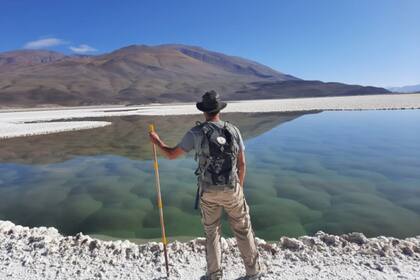 Los estromatolitos son la evidencia fósil más antigua de vida en nuestro planeta