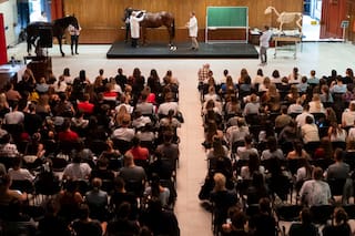 Los estudiantes británicos volverán al programa de intercambio Erasmus de la UE tras el Brexit