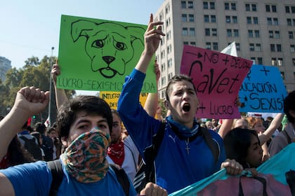 Los estudiantes volvieron a las calles para reclamar el fin del lucro en la educación