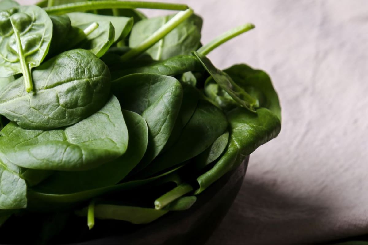 Los estudios básicos identificaron un papel crítico de la vitamina K en diversas funciones del organismo