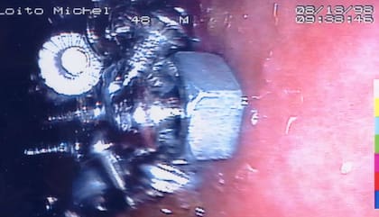 Los estudios de su tracto digestivo indicaban que tenía un sistema resistente, capaz de comer cualquier cosa