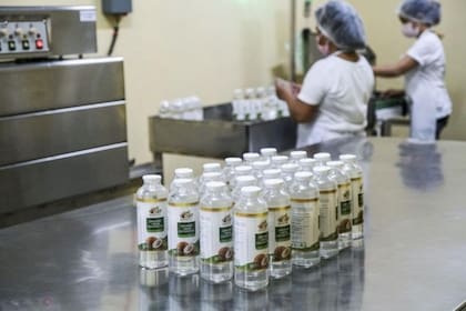 Los estudios demuestran que el aceite de coco tiene un alto contenido en grasas saturadas.