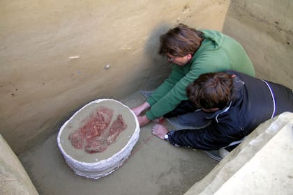 Los estudios determinaron que el enterrio sucedió hace 31.000 años