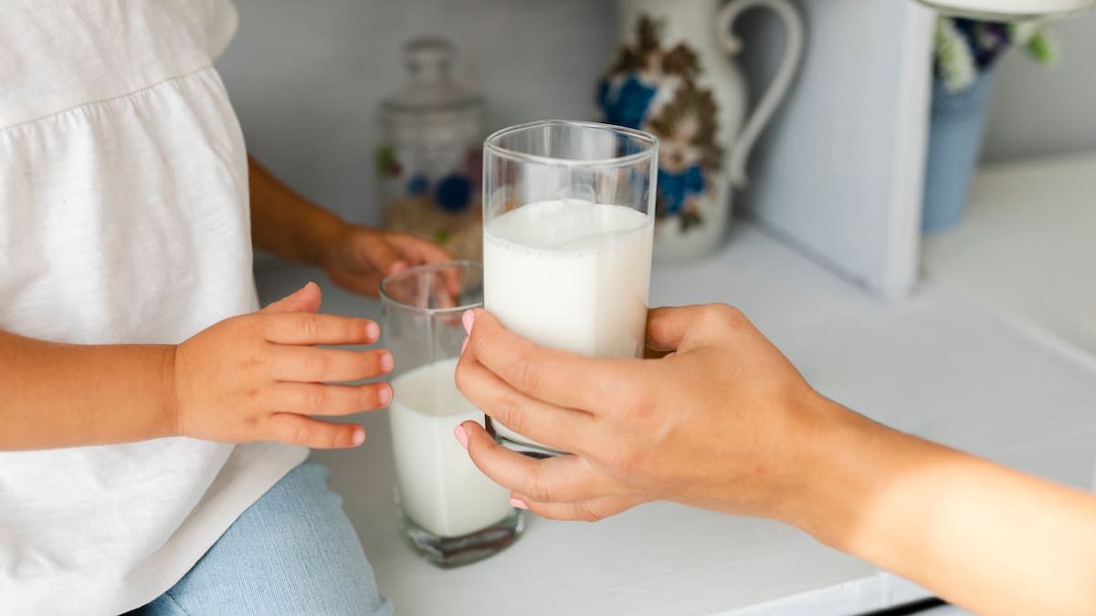 Experto de Harvard reveló si es mejor la leche entera o la deslactosada - LA NACION