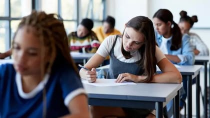 Los exámenes suelen carecer de reflexión, crítica y problematización