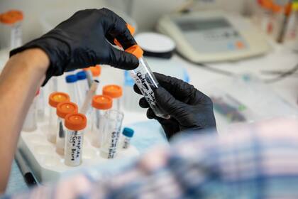 Los experimentos en un laboratorio de Massachusetts
