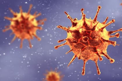 Los expertos coinciden en que nunca se había visto un virus como el SARS-CoV-2