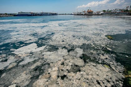 Los expertos de Turquía vincularon la creciente cantidad de "mocos de mar" a las altas temperaturas del mar derivadas del cambio climático, así como a la descarga de aguas residuales no tratadas al mar