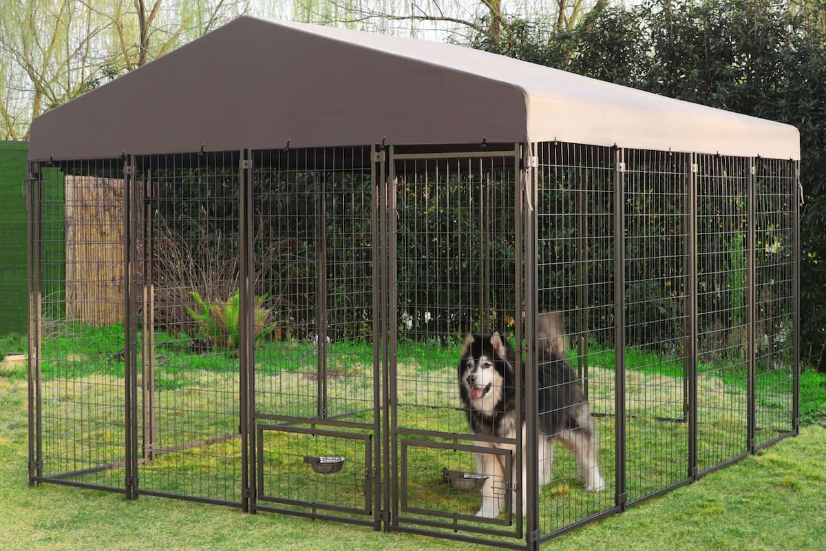 Los expertos recomiendan evaluar las necesidades de cada perro para la construcciones de caniles