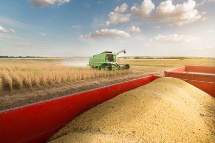 Los exportadores pagan a los productores en pesos convirtiendo los dólares que ingresan