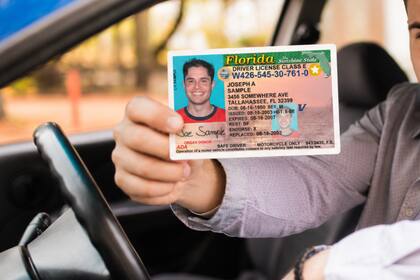 Los extranjeros con estatus de no inmigrante pueden tramitar una licencia de conducir en Florida compatible con REAL ID