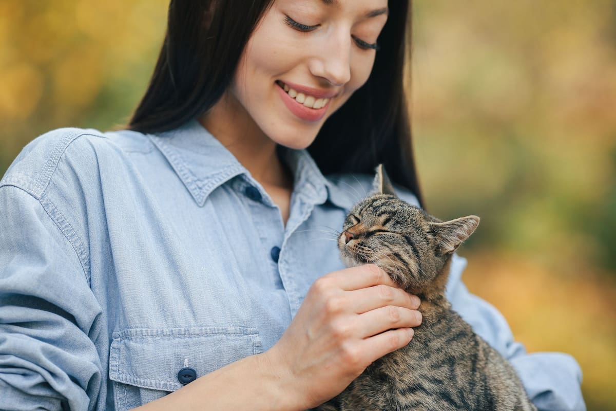 Los factores que hacen que un gato elija a su persona favorita, según un veterinario (Foto: Freepik)